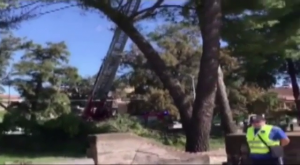 Francofonte - Dopo il nubifragio si contano i danni - Video