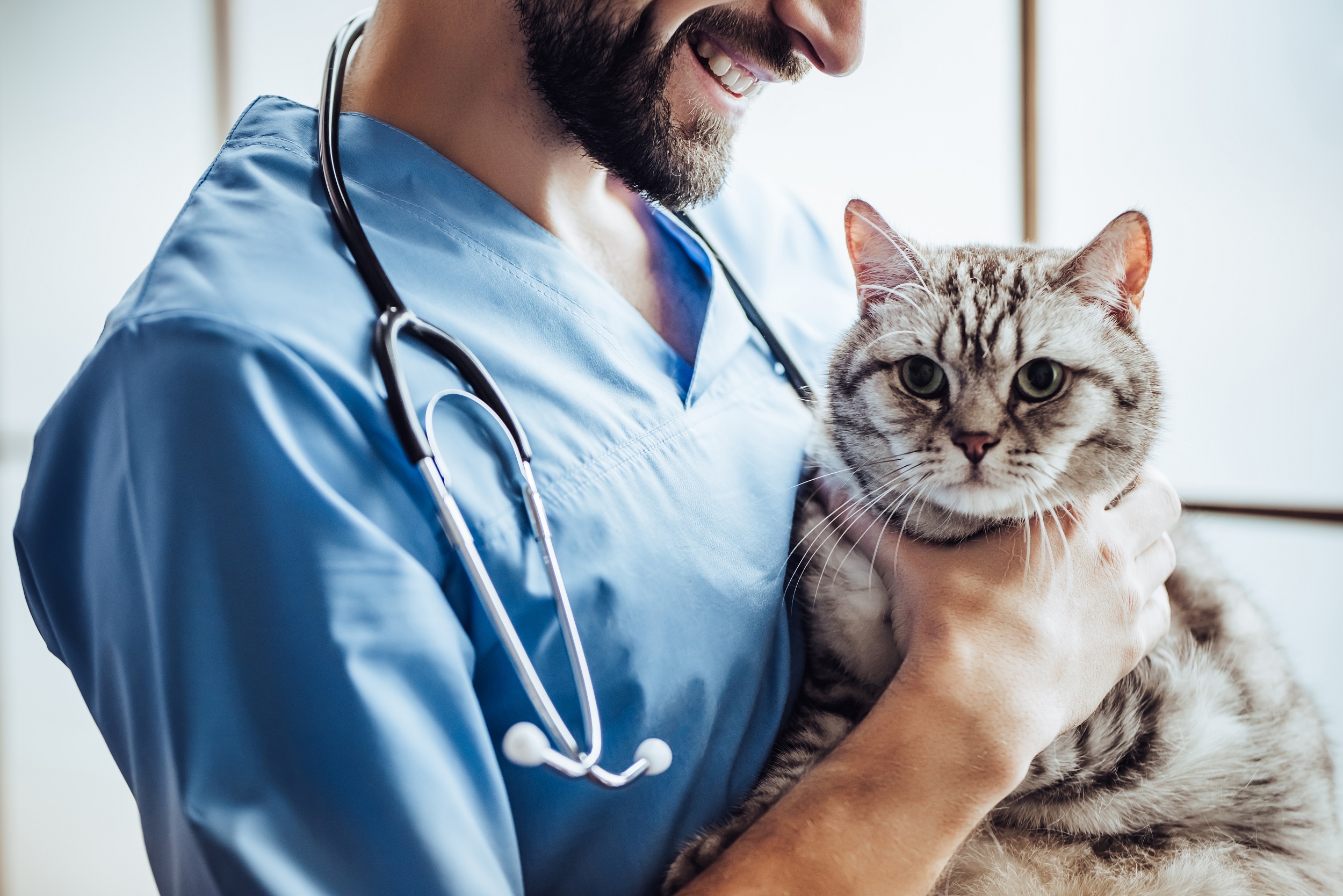 Savona (FI): siglato l’atto per monte ore medici veterinari
