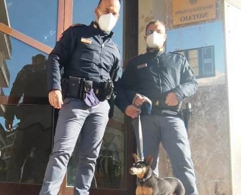 Ortigia: Poliziotti ritrovano cane “Pinscher” – vicenda a lieto fine