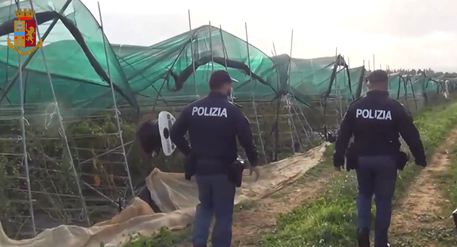 Niscemi: denunciati due imprenditori agricoli per sfruttamento dei lavoratori