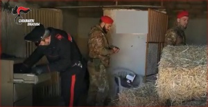 Solarino - Percettore di reddito di cittadinanza, nascondeva in una stalla droga e pistola: arrestato 58enne