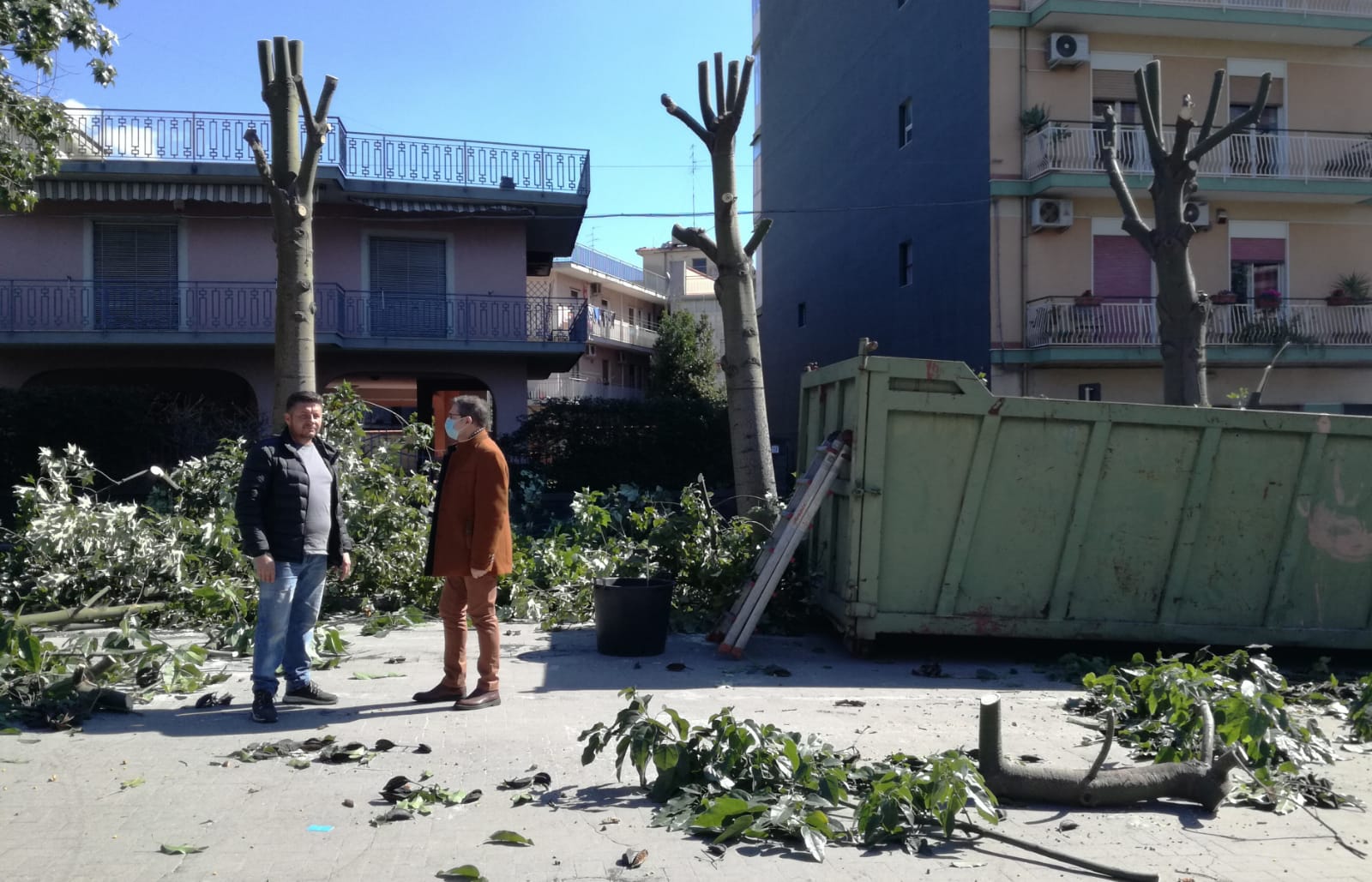 Aci Catena: dopo anni potati gli alberi della zona del tradizionale mercato settimanale