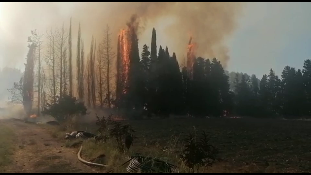 Siracusa e Solarino, in fiamme decine di ettari di zona boschiva