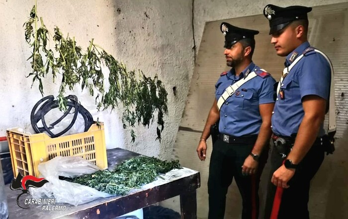 Nascondevano in una stalla, 2 kg di droga: arrestati due pastori nel Palermitano