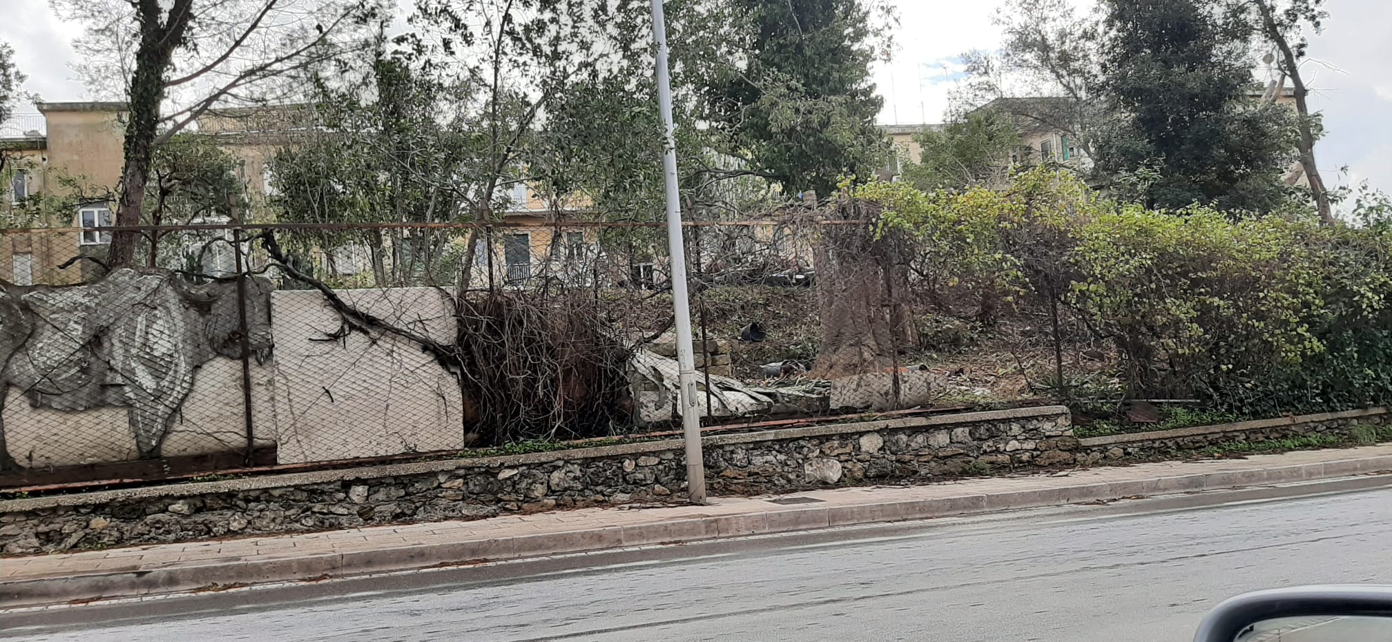 Vinciullo – Grazie al Parco Archeologico “Paolo Orsi” ritorna a vivere l’orto botanico