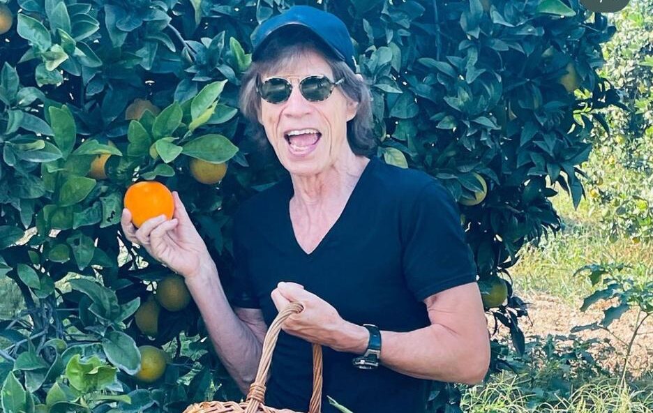 Mick Jagger in vacanza in Sicilia – Posta foto da Siracusa, un cestino in mano mentre raccoglie un frutto