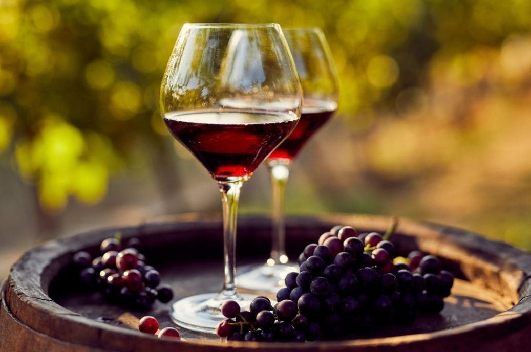 Termini Imerese, Corso di analisi sensoriale: quarta lezione dedicata al vino