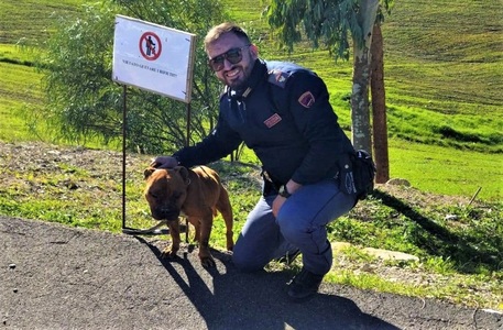 Caltanissetta: poliziotti salvano cucciolo di pitbull