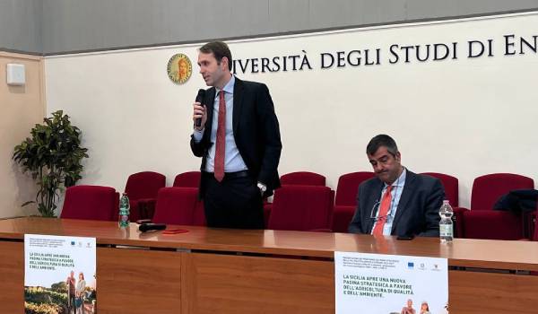 Agricoltura, oltre 140 milioni dai bandi Pac  Sammartino: «Sostenibilità e competitività»