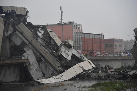 Genova: Anche un camion carico di droga coinvolto nel crollo del ponte Morandi