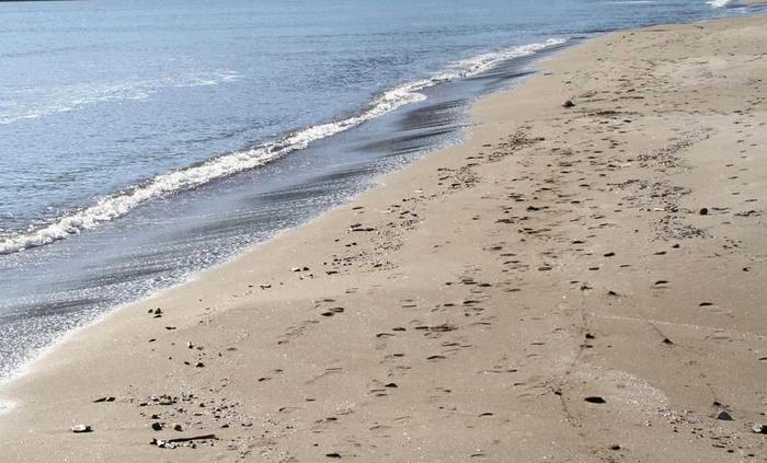 Trovato cadavere in stato di avanzato decomposizione su spiaggia nel Pisano