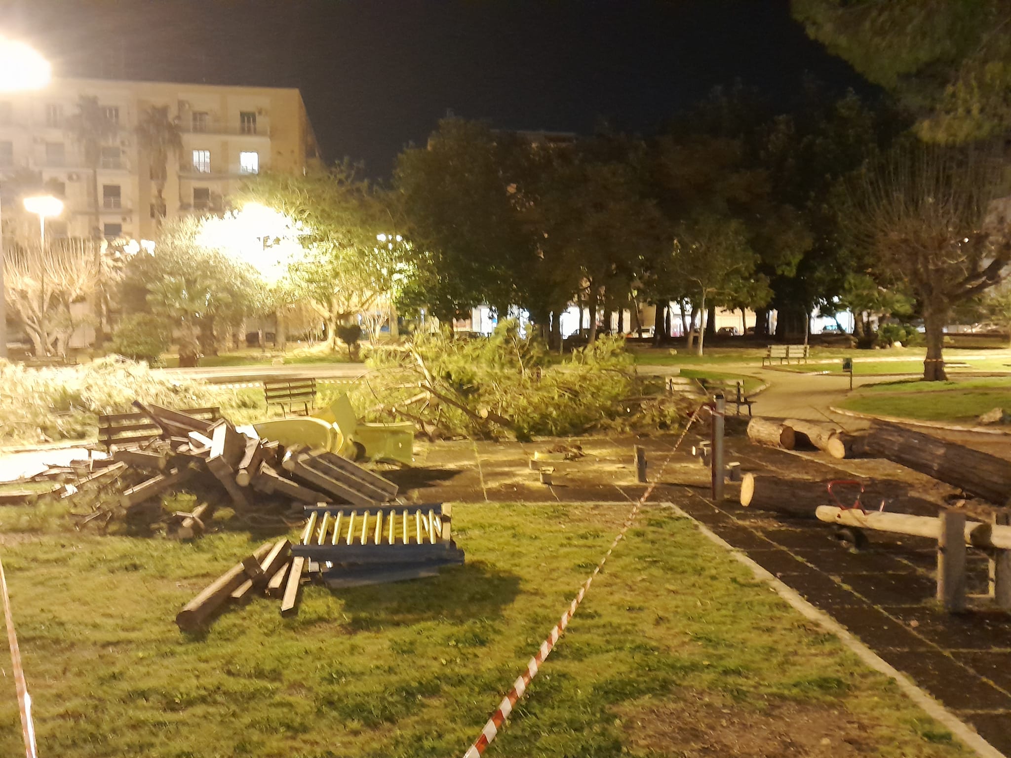 Siracusa – Abbattuto l’albero di piazza Adda, La Ferla: “Vigileremo sul ripristino del verde e dei giochi”