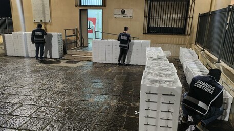Pesca: sequestrate a Villa San Giovanni (RC), 2 tonnellate di novellame di sarda
