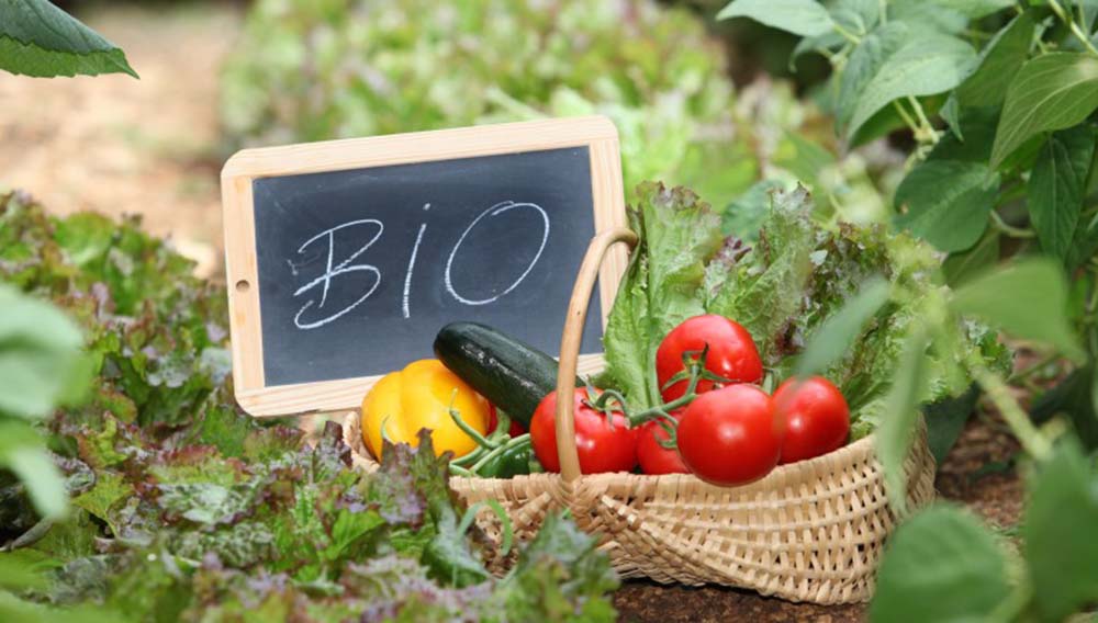 Codici: maxi truffa del bio- necessario rafforzare controlli e sistema di certificazione