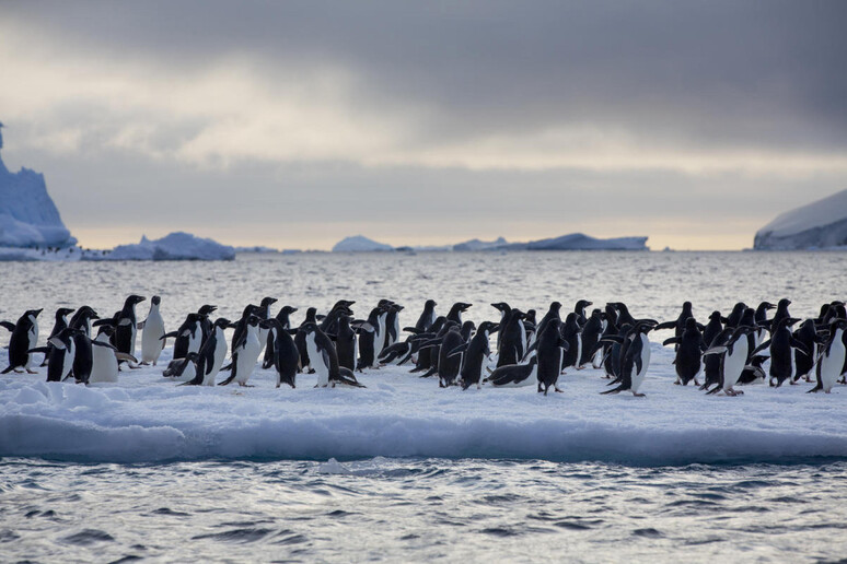 Cambiamento climatico – Alla calotta antartica manca un pezzo grande come l’Argentina – Lo scrive la Cnn.