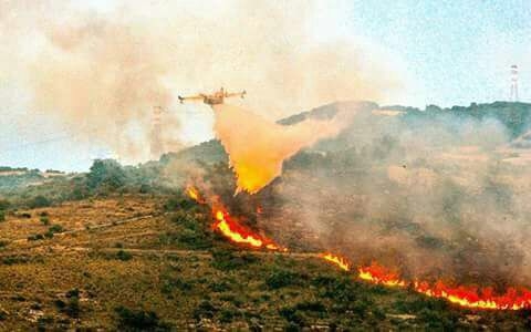 Incendi, emergenza continua: a fuoco Pantalica