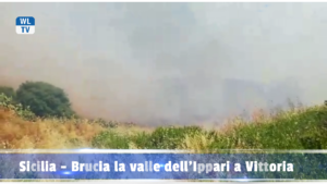 Sicilia - Brucia la valle dell’Ippari a Vittoria -Video