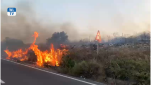 Incendi: devastazioni nel territorio priolese e limitrofo