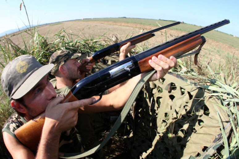 Caccia: dal Cga stop piano prelievo tortora in Sicilia