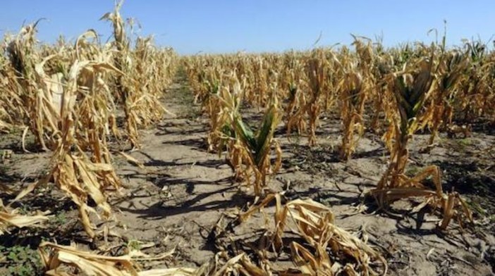 Poca pioggia e temperature alte, in Sicilia scatta l’allarme siccità