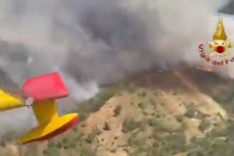 Numerosi incendi in tutta la Sicilia, in fumo la riserva di Alcamo