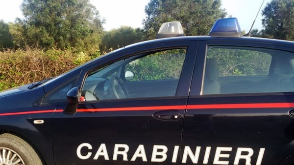 Sciacca – Due cani randagi uccisi con colpi di arma da fuoco