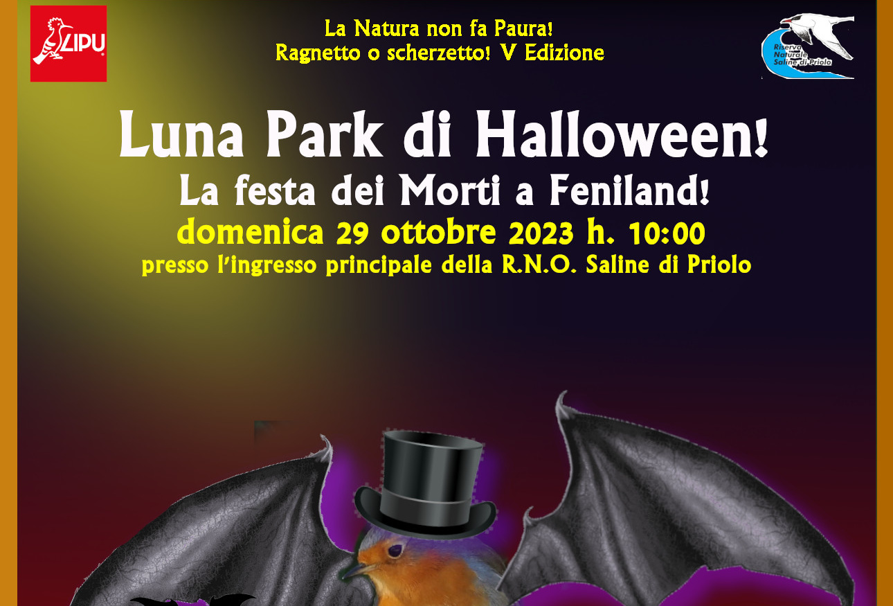 Lipu/Saline di Priolo: ” Ragnetto o scherzetto”? – Il Luna Park di Halloween! La Festa dei Morti a Feniland!