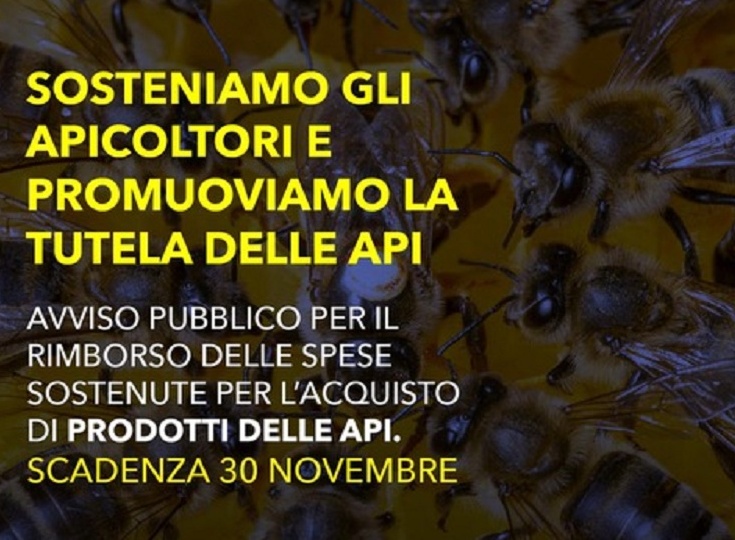 Auteri (FdI): approvato un provvedimento per aiuto agli apicoltori , scadenza domanda 30 novembre 2023