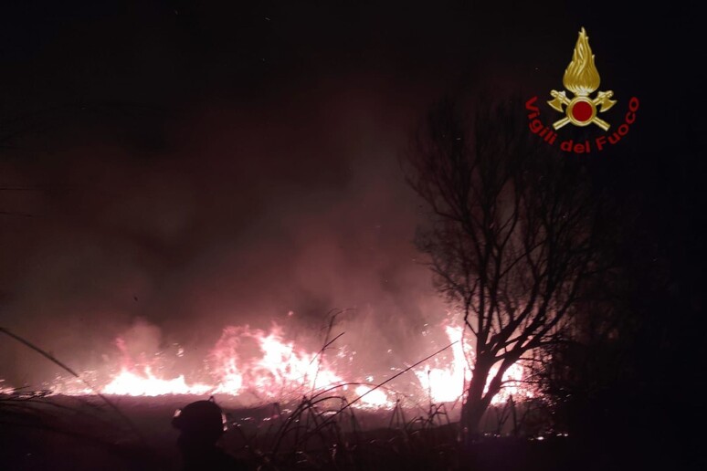 Incendio – Distrutti  5 ettari di canneto nell’oasi di Vendicari