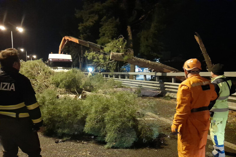 Sicilia – Maltempo: vento oltre 100 km orari a Palermo, danni