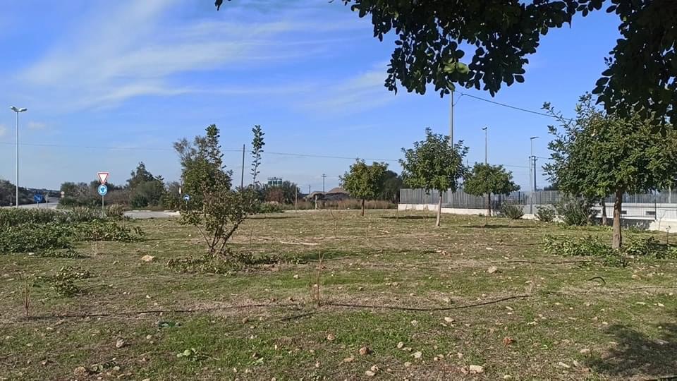 Priolo, ripulito il parco della Paulownia