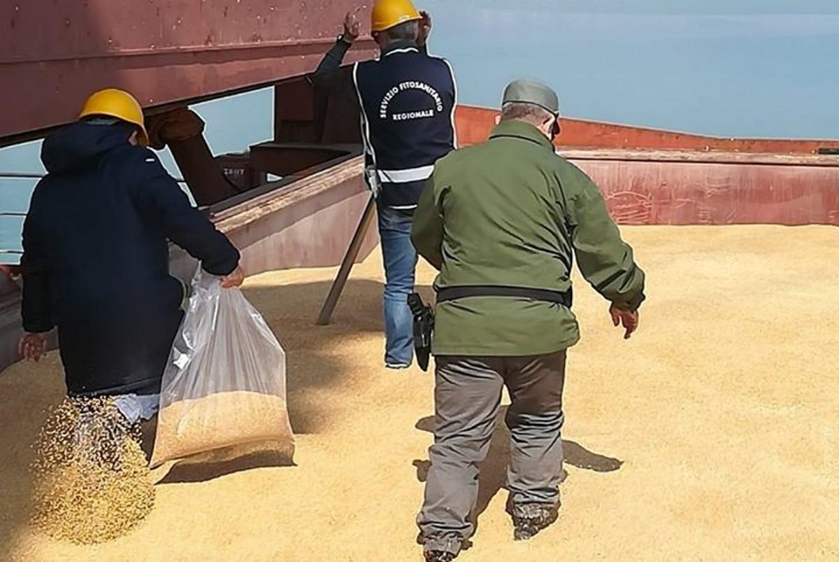 Legambiente su grano canadese a Pozzallo. Quali controlli?
