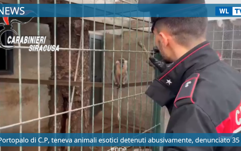 Portopalo di C.P, teneva animali esotici detenuti abusivamente, denunciato 35enne – Video
