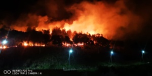 Incendio su Monte Inici nel Trapanese, vicino a Castellamare
