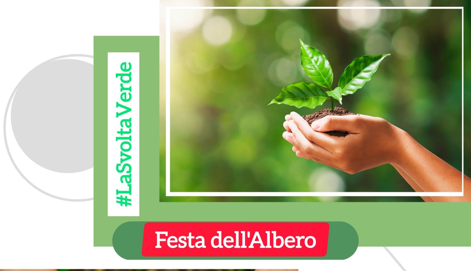 Priolo, promossa la giornata dedicata alla “Festa dell’albero”