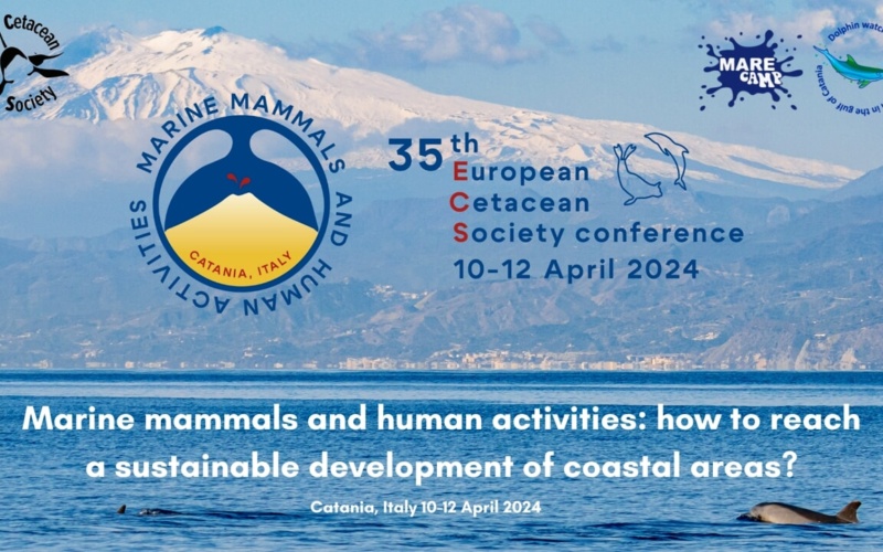 Presentata a Catania la 35° Conferenza Europea sui Cetacei