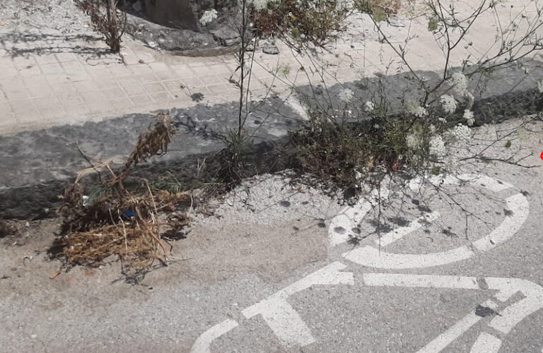 Siracusa – Al via il servizio di diserbo e pulizia delle piste ciclabili