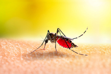 Porto Rico dichiara l’emergenza sanitaria pubblica con l’aumento dei casi di dengue