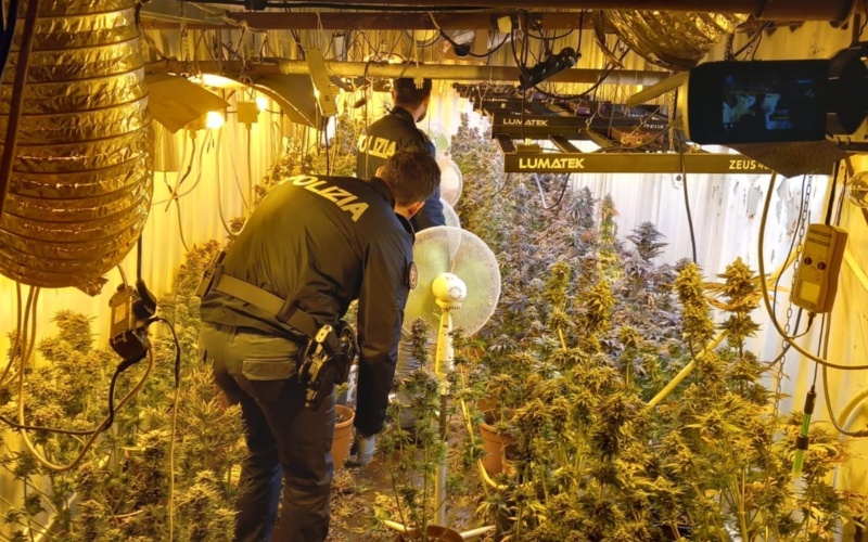 Francofonte, scoperto bunker sotterraneo per coltivazione marjuana: arrestato uomo