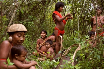 Timori di epidemie tra le popolazioni indigene del Brasile