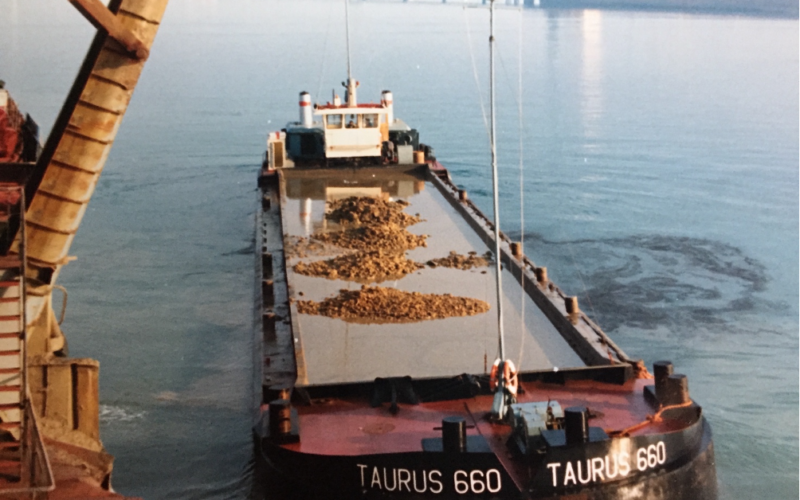 Petrolchimico e la Storia: non solo mercurio ma anche rifiuti tossici sottoterra e nei fondali marini