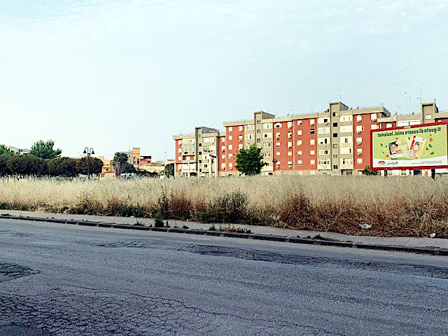 Emergenza incendi, il PD di Siracusa chiede la mappatura dei terreni incolti