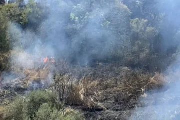 Più incendi estivi, più alto il rischio di frane autunnali: la società geologica Italiana interviene