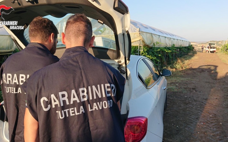 Siracusa e provincia, contrasto a caporalato e lavoro nero : sanzioni e sospensione per due aziende agricole