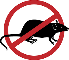 Priolo, nuovo intervento di derattizzazione in tutto il territorio comunale