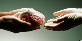 Donazione di organi, la Sicilia tra le più virtuose d’Italia