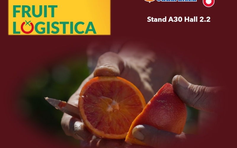 Le eccellenze italiane dell’ ortofrutta a Berlino