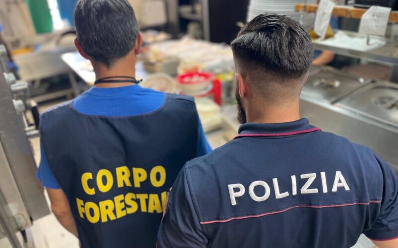 Capo Mulini, sequestrati 300 chili di alimenti, multe per oltre 25.000 euro