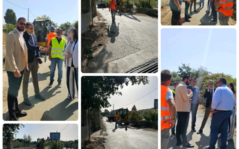 Prevenzione Incendi – diserbo e manutenzione lungo la SP60 – Valle di Piombo