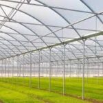 Pachino: agricoltore muore mentre lavora in serra